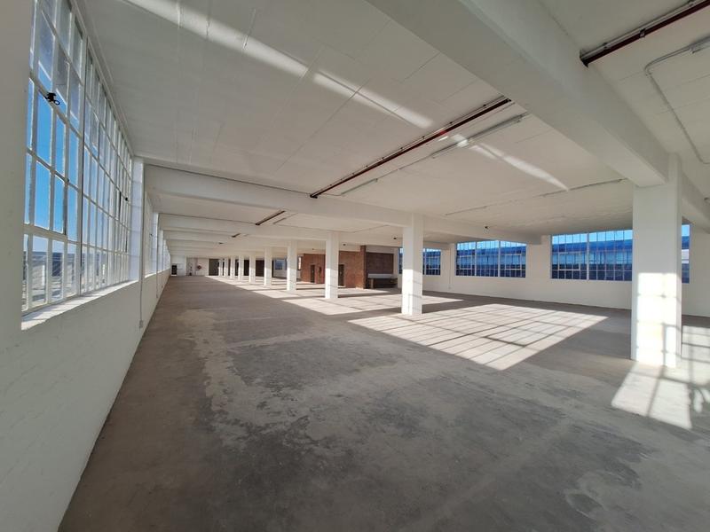 To Let Commercial Property for Rent in Diep River Western Cape